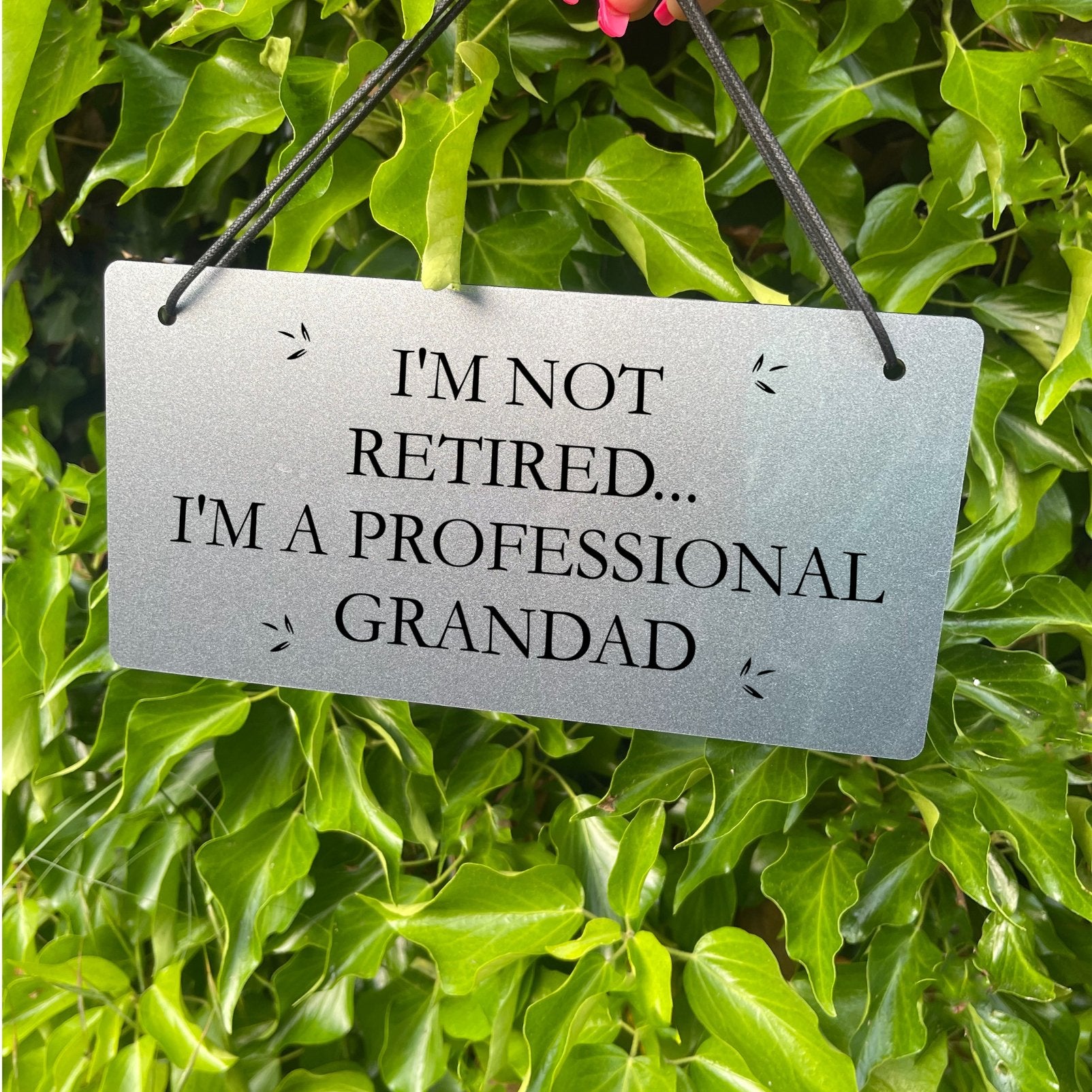 Silver Personalised Engraved Sign - 'I Am Not Retired, I Am a Professional Grandad' - Custom Acrylic Sign with Elegant Silver Finish, 220X110 Size, 3mm Acrylic Thickness, Black Engraving, Waterproof and Easy to Clean