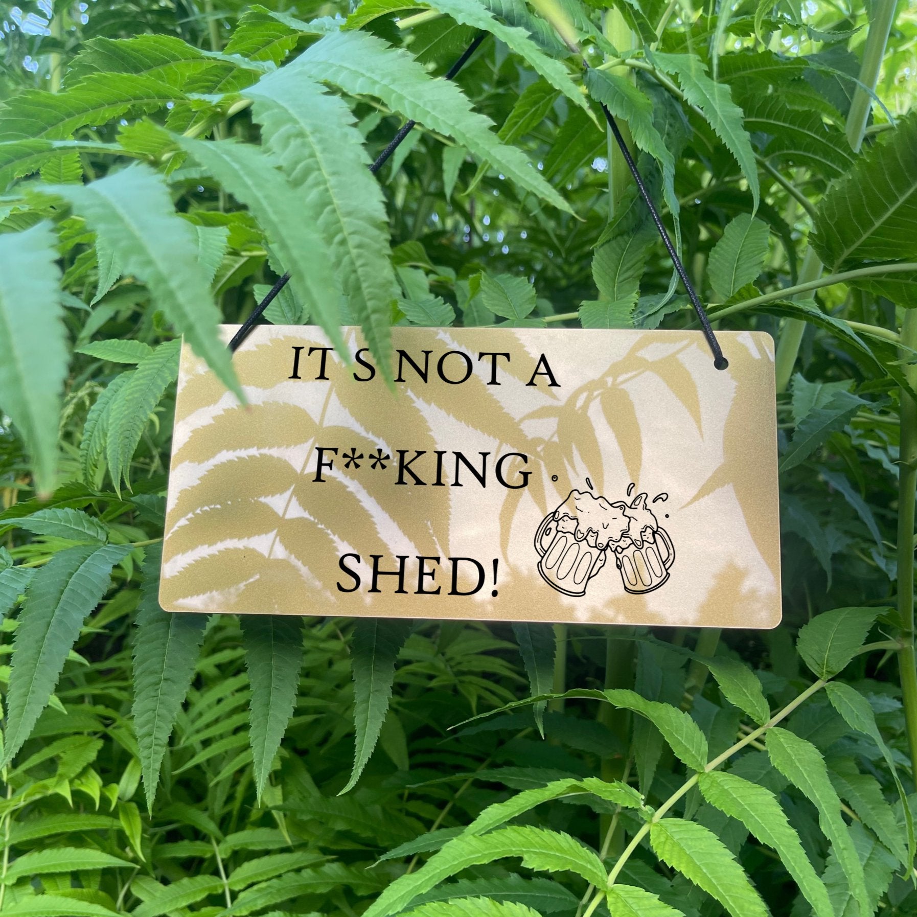Humorous acrylic sign, measuring 220X110mm, showcasing the message 'IT'S NOT A F**KING SHED' and a beer glasses design, available in gold or silver.